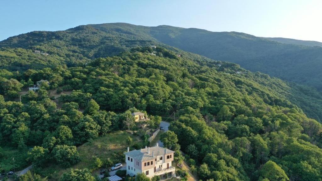 Stilvi Otel Tsagkarada Dış mekan fotoğraf